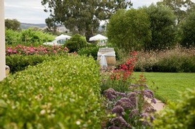 McLaren Vale Weddings at Old Oval Estate